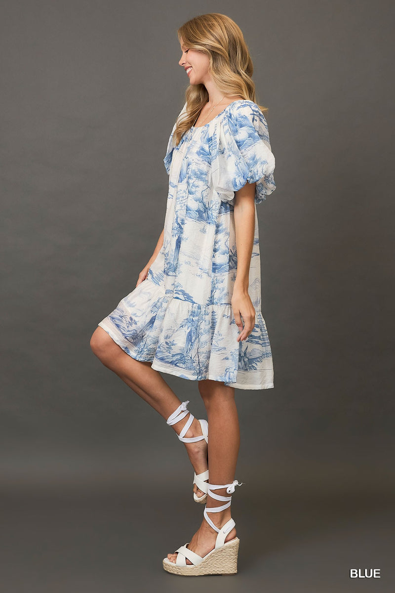 Toile Print Dress with Puff Sleeves - Blue