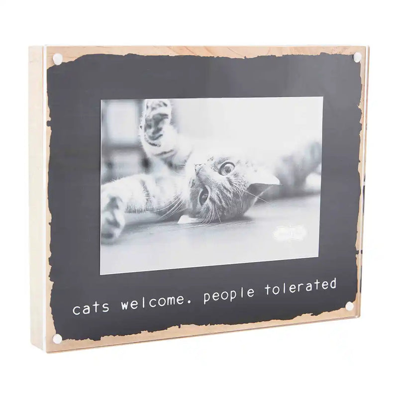 Mud Pie Acrylic Cat Frames - 2 Styles