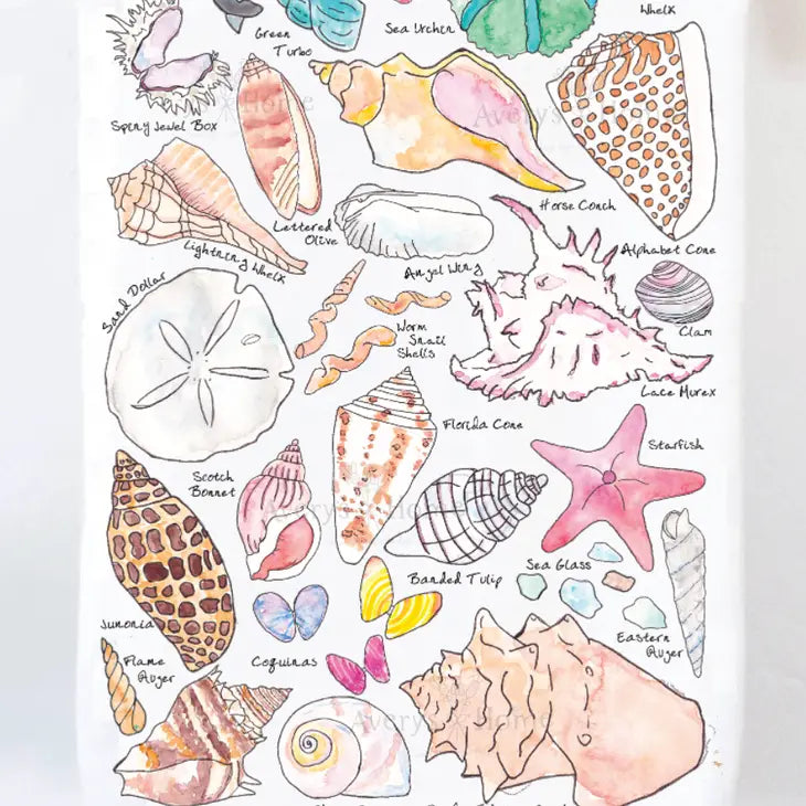 Sea Shell Collector Ocean Beach Kitchen Towel