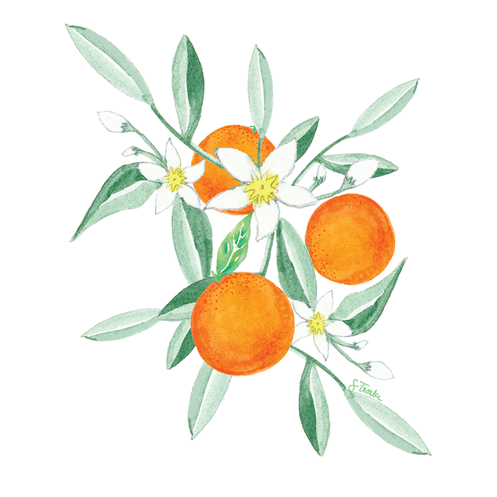 Orange Blossom Fine Art Print