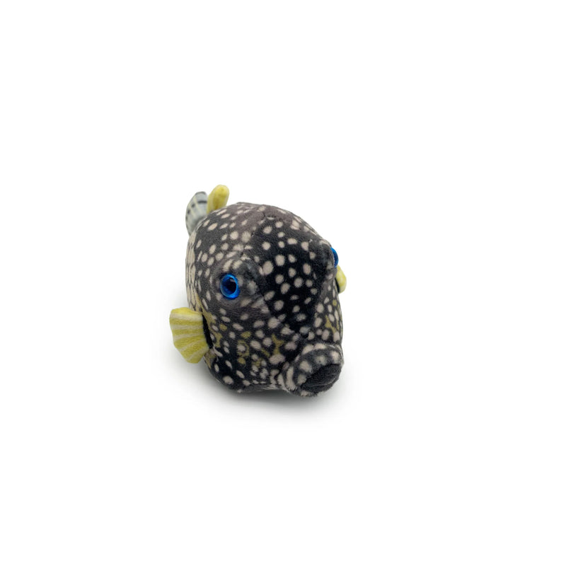 Dot the Boxfish Plush Toy