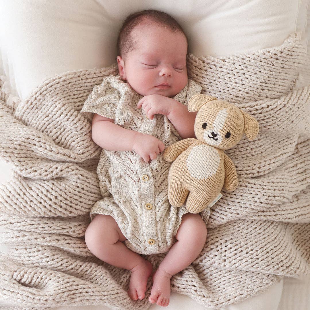 Cuddle+Kind Baby puppy, gives 5 meals